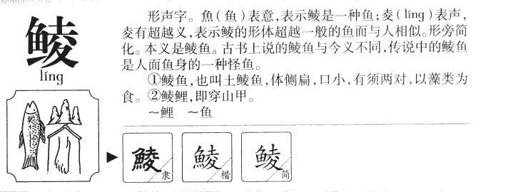 鲮字五行属什么-鲮字起名的寓意-鲮字意思