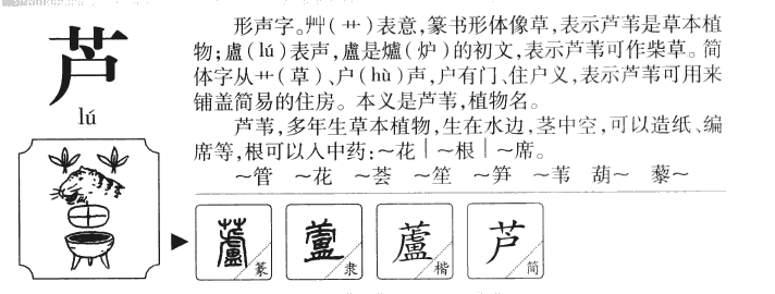 芦字五行属什么-芦字起名的寓意-芦字意思
