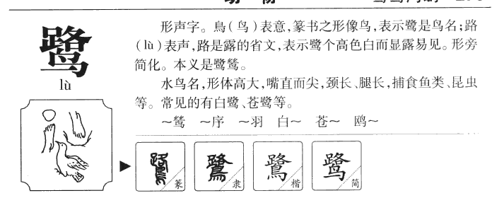 鹭字五行属什么-鹭字起名的寓意-鹭字意思