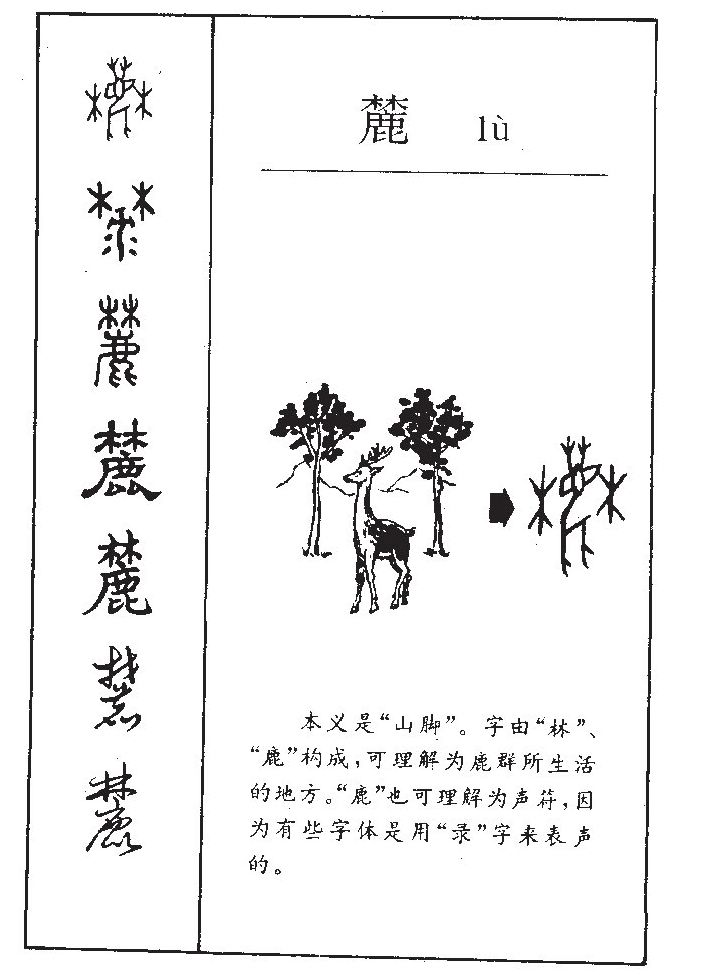 麓字五行属什么-麓字起名的寓意-麓字意思