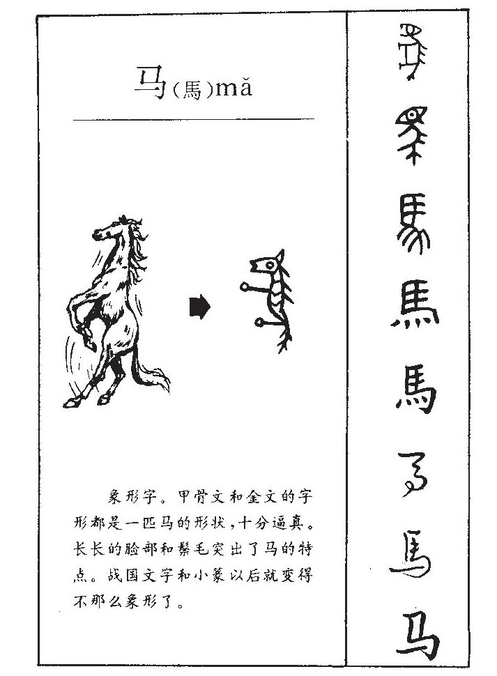 马字五行属什么-马字起名的寓意-马字意思
