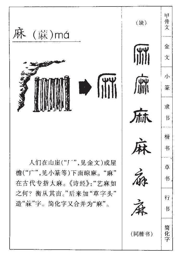 麻字五行属什么-麻字起名的寓意-麻字意思