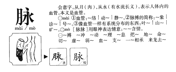 脉字五行属什么-脉字起名的寓意-脉字意思