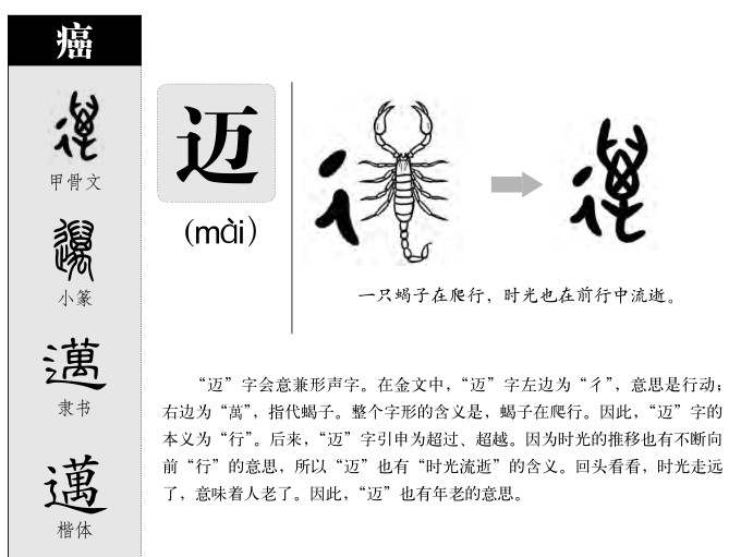 迈字五行属什么-迈字起名的寓意-迈字意思
