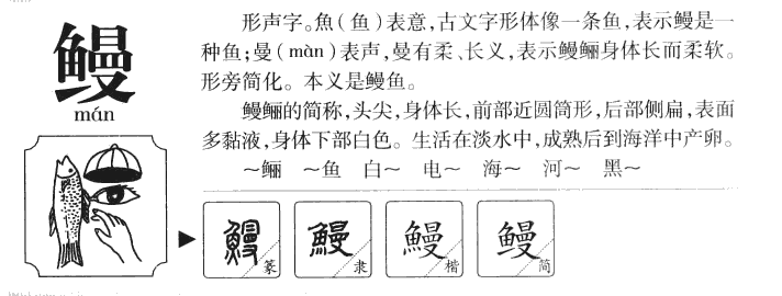 鳗字五行属什么-鳗字起名的寓意-鳗字意思