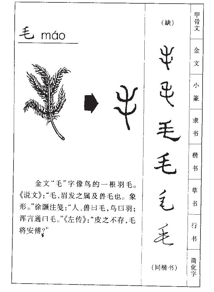 毛字五行属什么-毛字起名的寓意-毛字意思