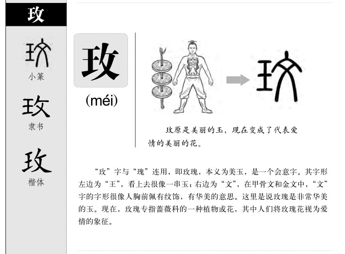 玫字五行属什么-玫字起名的寓意-玫字意思