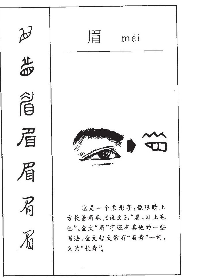 眉字五行属什么-眉字起名的寓意-眉字意思