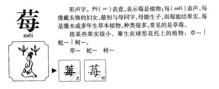 莓字五行属什么-莓字起名的寓意-莓字意思
