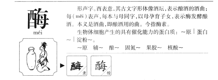 酶字五行属什么-酶字起名的寓意-酶字意思