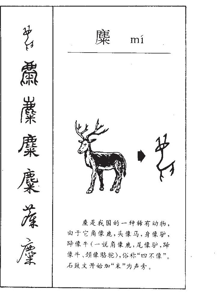 麋字五行属什么-麋字起名的寓意-麋字意思