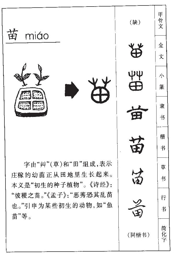 苗字五行属什么-苗字起名的寓意-苗字意思