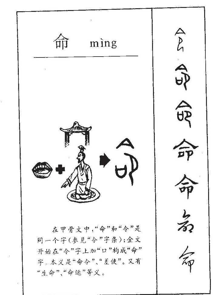 命字五行属什么-命字起名的寓意-命字意思