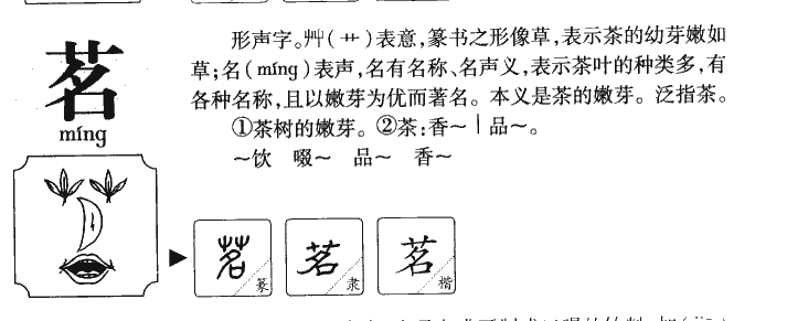 茗字五行属什么-茗字起名的寓意-茗字意思
