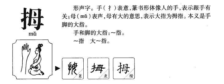 拇字五行属什么-拇字起名的寓意-拇字意思