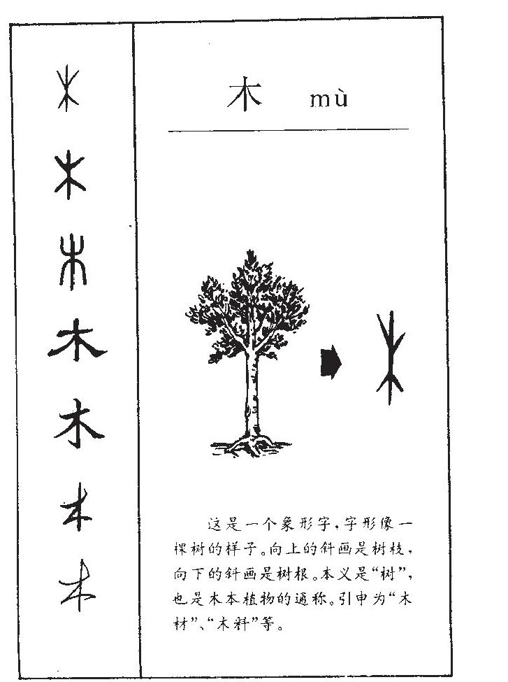 木字五行属什么-木字起名的寓意-木字意思