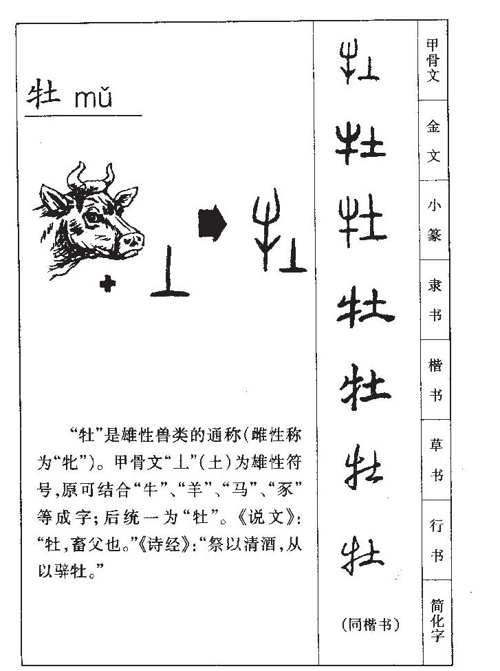 牡字五行属什么-牡字起名的寓意-牡字意思