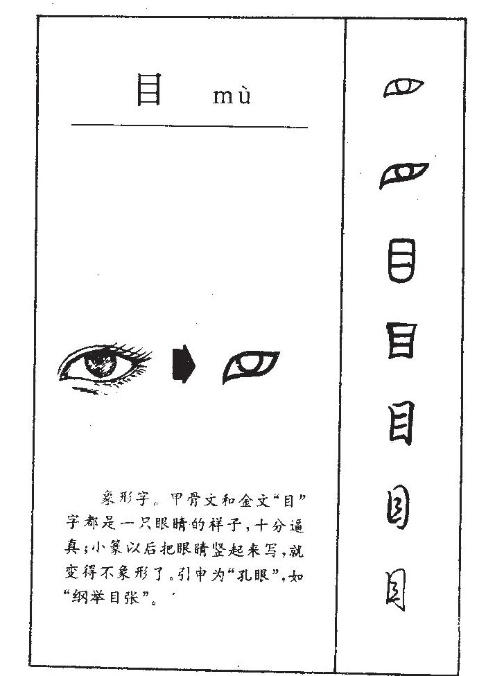 目字五行属什么-目字起名的寓意-目字意思