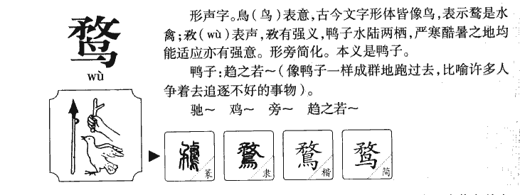 鹜字五行属什么-鹜字起名的寓意-鹜字意思