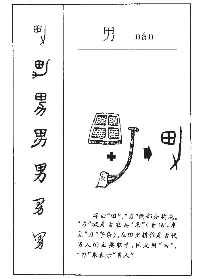 男字五行属什么-男字起名的寓意-男字意思
