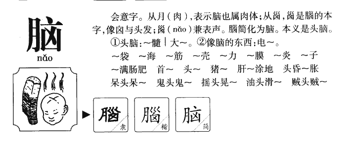 脑字五行属什么-脑字起名的寓意-脑字意思