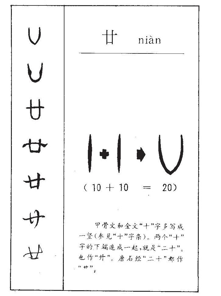 廿字五行属什么-廿字起名的寓意-廿字意思