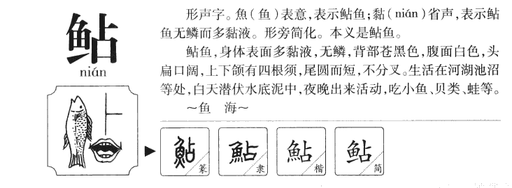 鲇字五行属什么-鲇字起名的寓意-鲇字意思