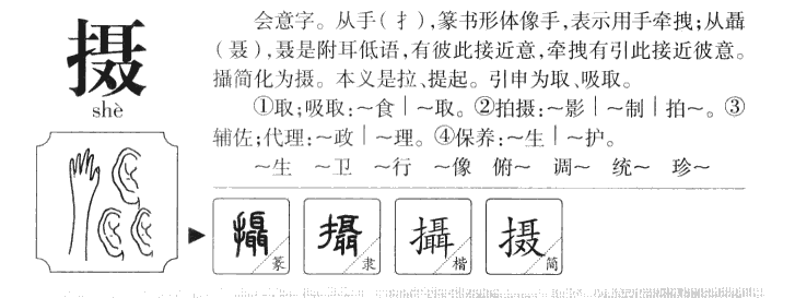 摄字五行属什么-摄字起名的寓意-摄字意思