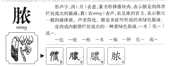 脓字五行属什么-脓字起名的寓意-脓字意思