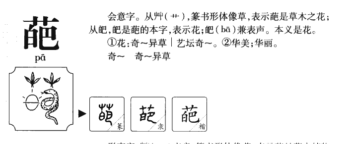 葩字五行属什么-葩字起名的寓意-葩字意思