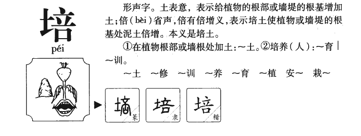 培字五行属什么-培字起名的寓意-培字意思