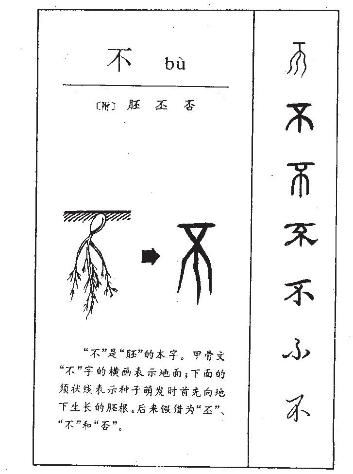 胚字五行属什么-胚字起名的寓意-胚字意思
