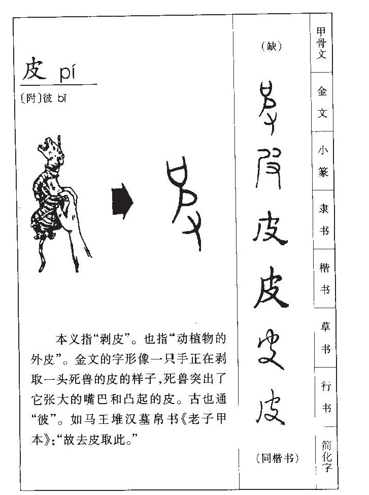 皮字五行属什么-皮字起名的寓意-皮字意思