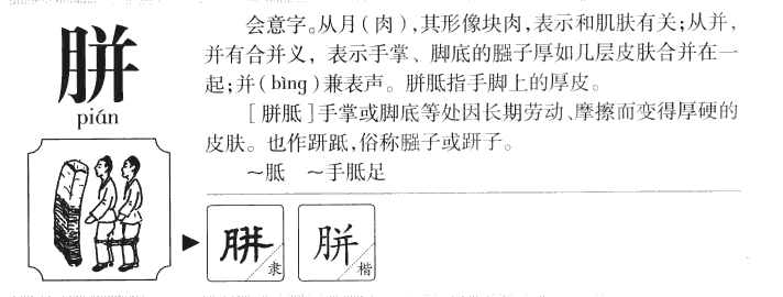 胼字五行属什么-胼字起名的寓意-胼字意思