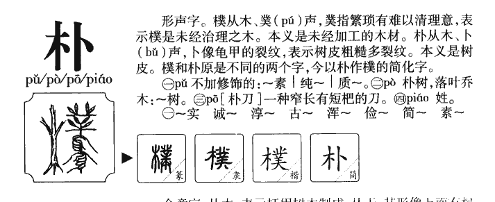 朴字五行属什么-朴字起名的寓意-朴字意思