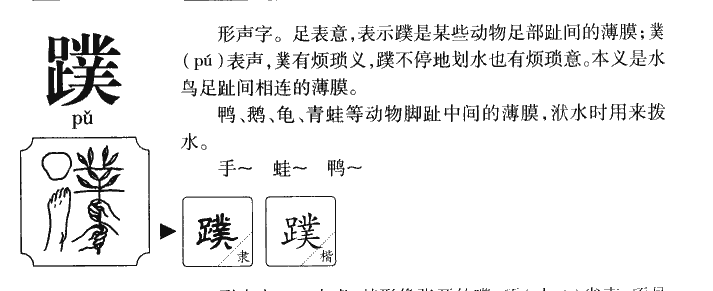 蹼字五行属什么-蹼字起名的寓意-蹼字意思