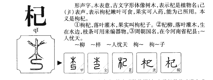 杞字五行属什么-杞字起名的寓意-杞字意思