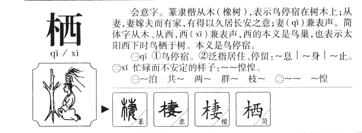 栖字五行属什么-栖字起名的寓意-栖字意思
