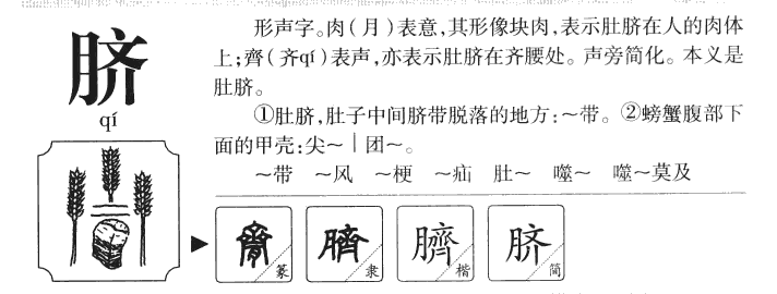 脐字五行属什么-脐字起名的寓意-脐字意思