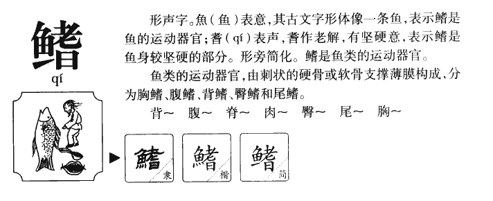 鳍字五行属什么-鳍字起名的寓意-鳍字意思
