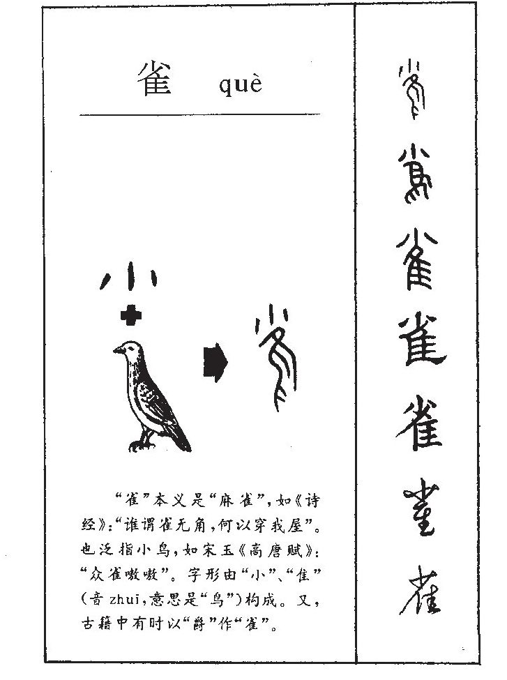 雀字五行属什么-雀字起名的寓意-雀字意思