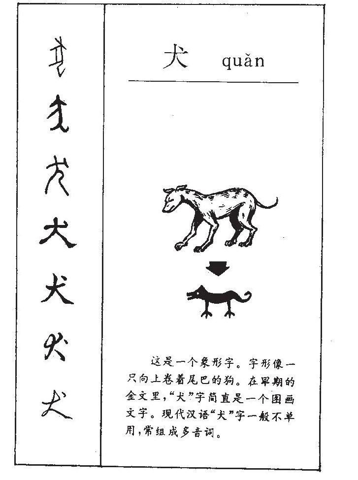 犬字五行属什么-犬字起名的寓意-犬字意思