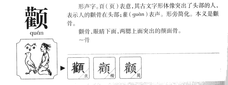 颧字五行属什么-颧字起名的寓意-颧字意思