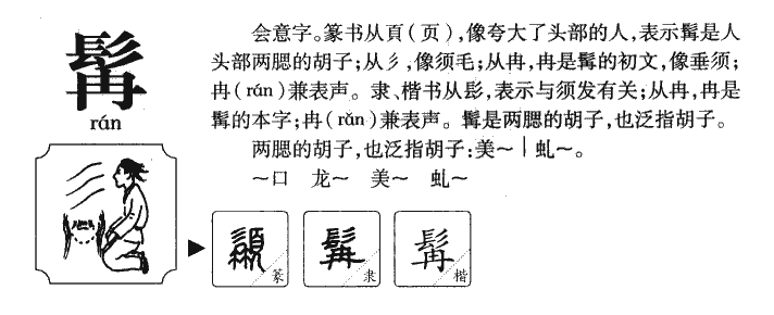 髯字五行属什么-髯字起名的寓意-髯字意思