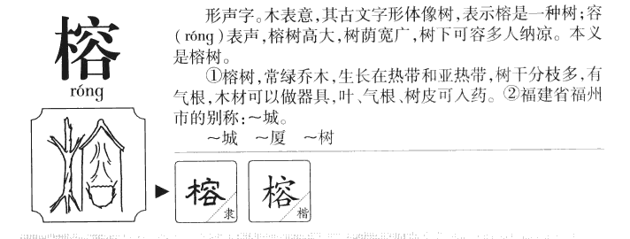 榕字五行属什么-榕字起名的寓意-榕字意思