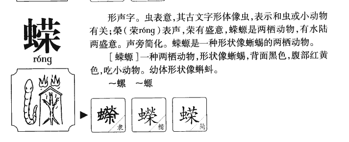 蝾字五行属什么-蝾字起名的寓意-蝾字意思
