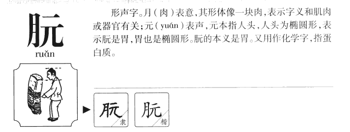 朊字五行属什么-朊字起名的寓意-朊字意思