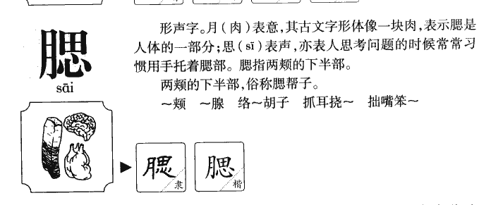 腮字五行属什么-腮字起名的寓意-腮字意思
