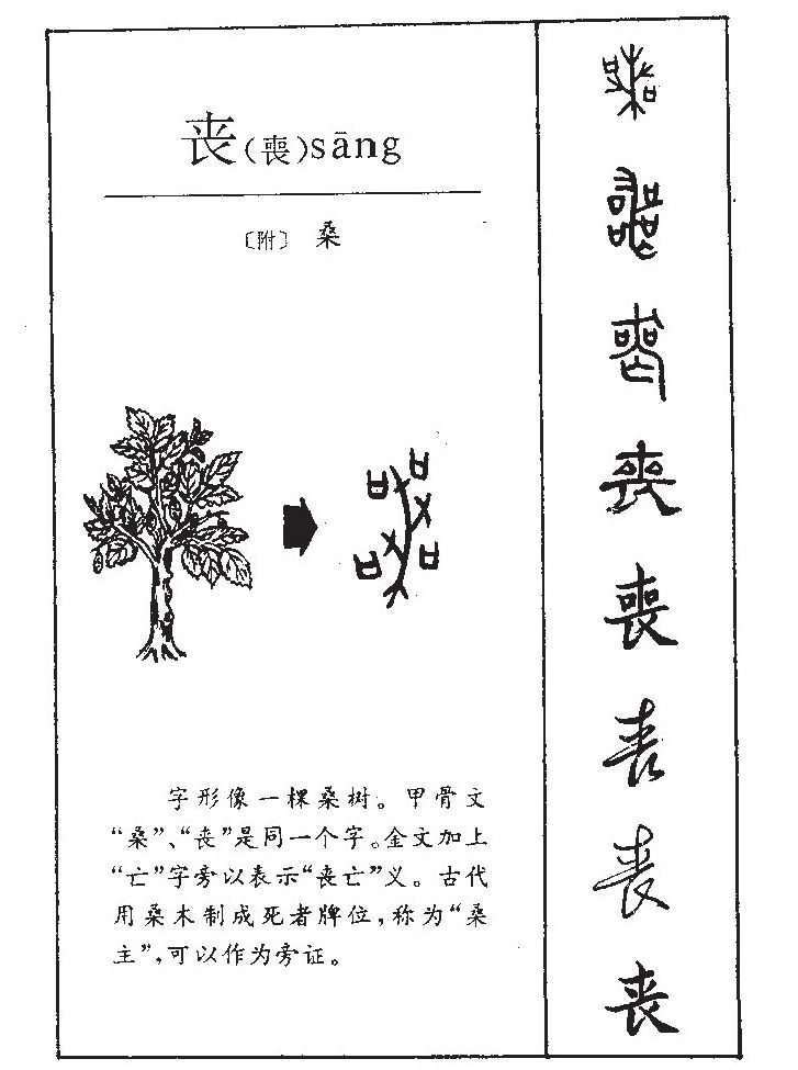 丧字五行属什么-丧字起名的寓意-丧字意思