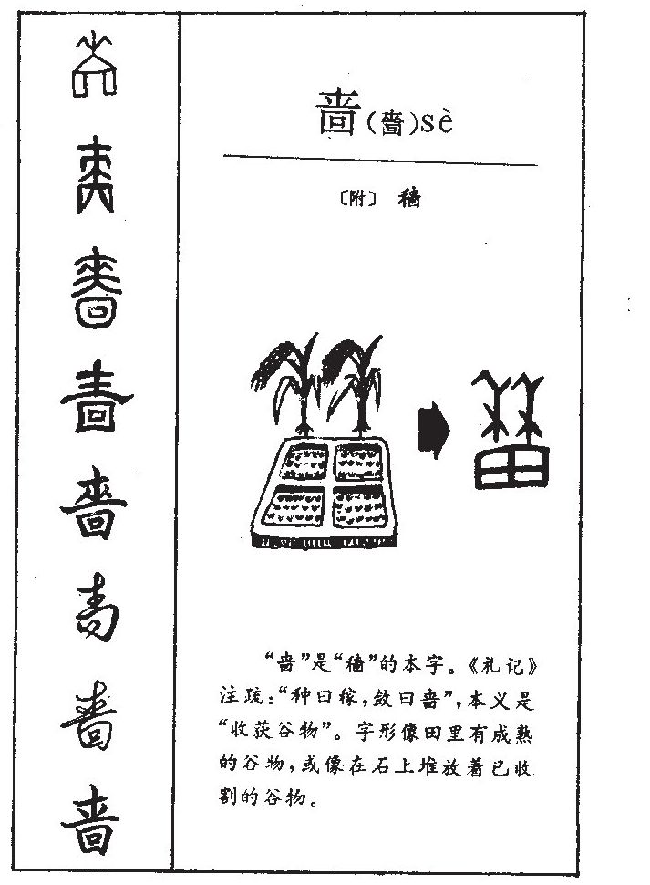 啬字五行属什么-啬字起名的寓意-啬字意思